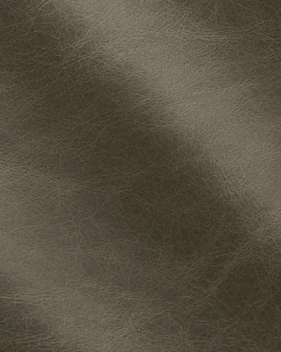 Taupe 2018.webp