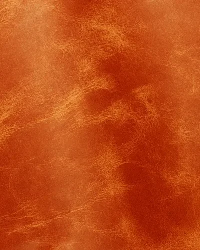 Rust 2009.webp