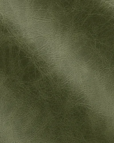 Lichen 2015.webp