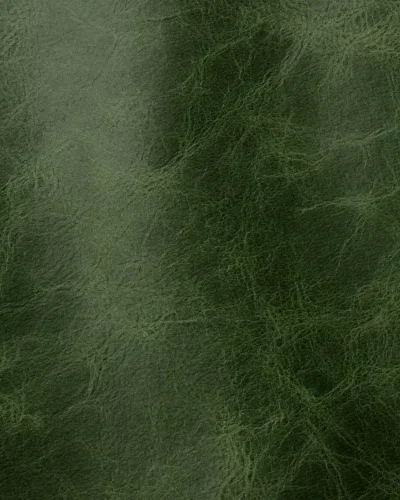 Green 2003.webp