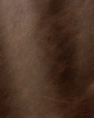 Dark Brown 2004.webp