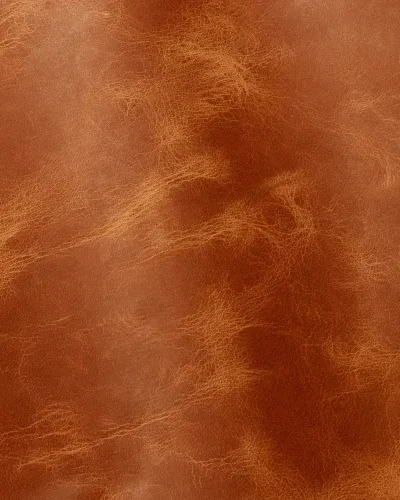 Cognac 2008.webp