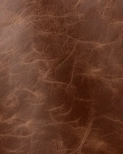 Brown 2006.webp