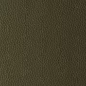 FOREST.webp