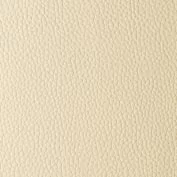 IVORY.webp