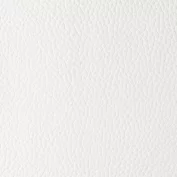 Pure-White.webp